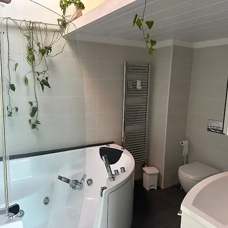 Antica I Ronchi Di Bellagio